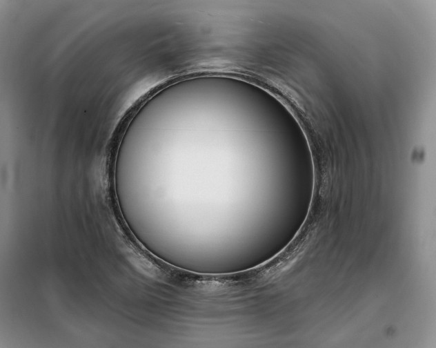 X0000100361458200806131004