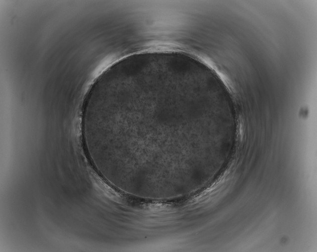 X0000100361459200806131004