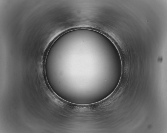 X0000100361460200806131004