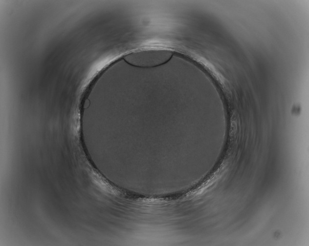 X0000100361461200806131004