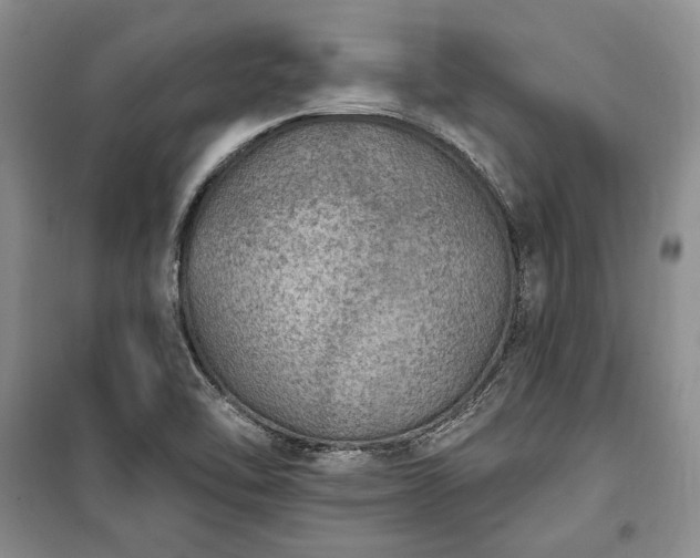 X0000100361462200806131004