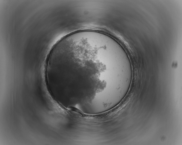 X0000100361463200806131004