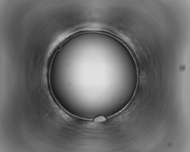 X0000100361464200806131004