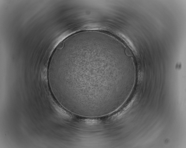 X0000100361465200806131004