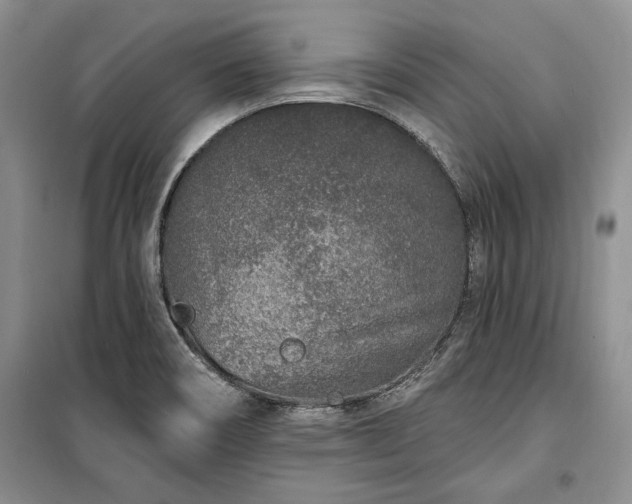 X0000100361466200806131004