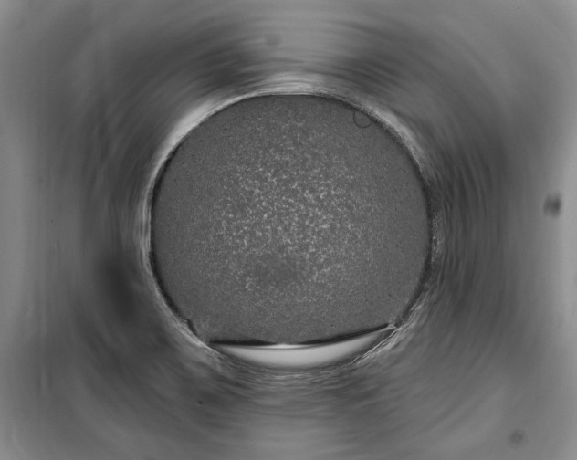 X0000100361467200806131004