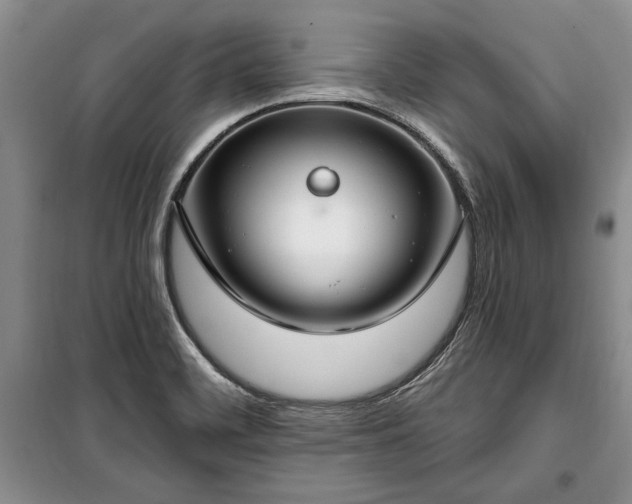 X0000100361468200806131004