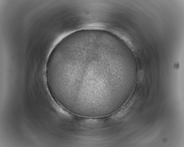 X0000100361470200806131004