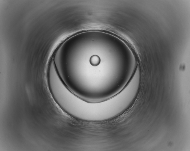 X0000100361472200806131004