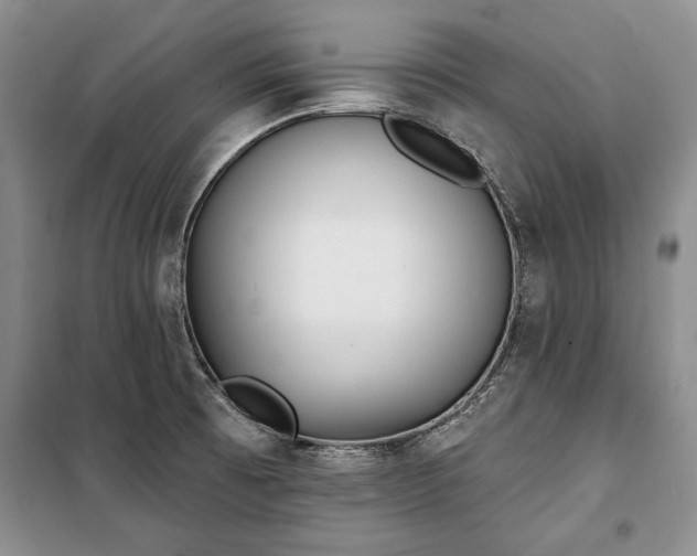 X0000100361473200806131004