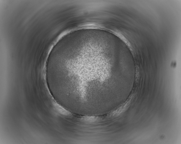 X0000100361474200806131004