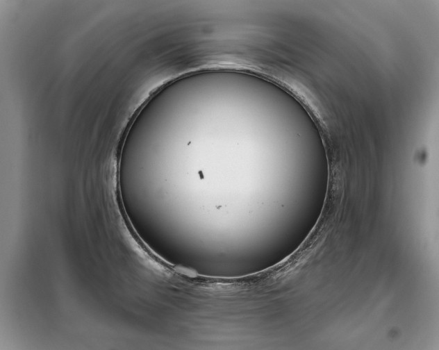 X0000100361476200806131004