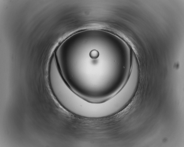 X0000100361477200806131004