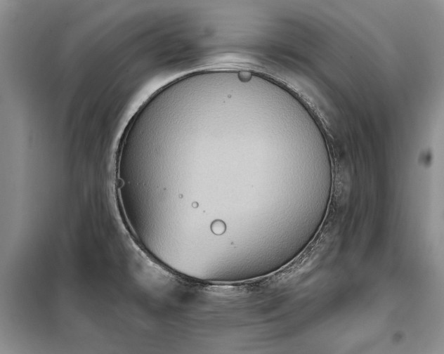 X0000100361478200806131004