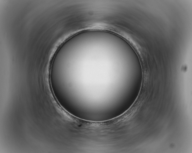 X0000100361480200806131004