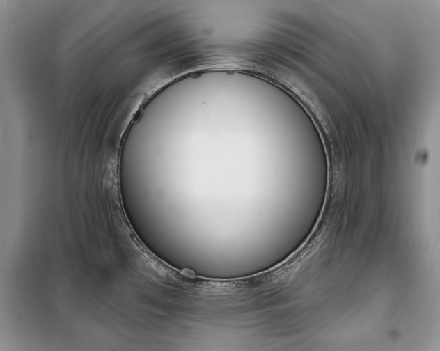 X0000100361481200806131004