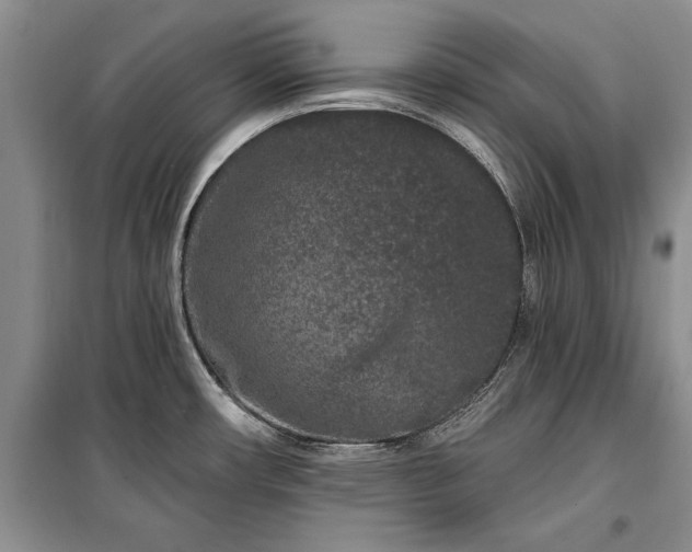 X0000100361482200806131004