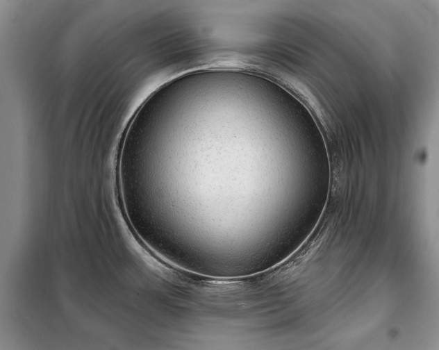 X0000100361483200806131004