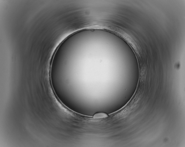 X0000100361484200806131004