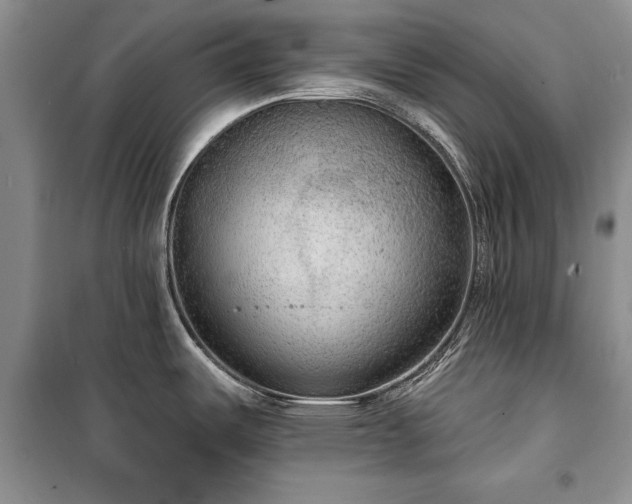 X0000100361487200806131004