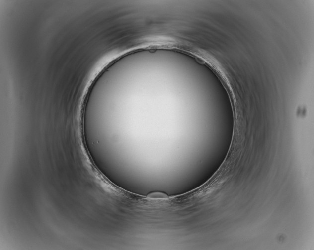 X0000100361488200806131004