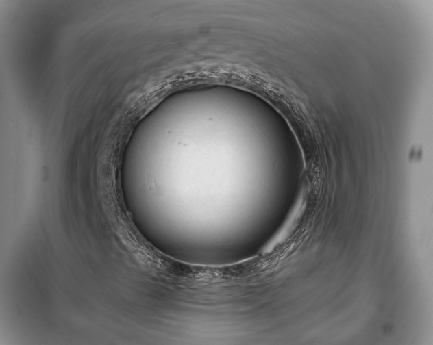 X0000100361489200806131003