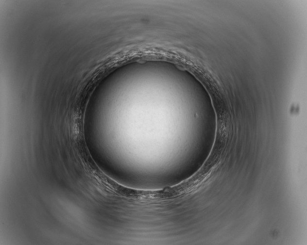 X0000100361490200806131003