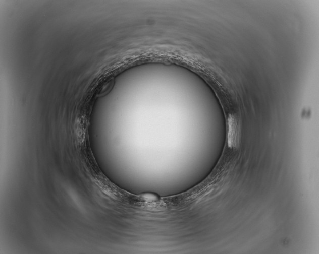 X0000100361491200806131003