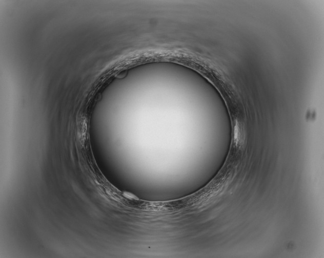 X0000100361492200806131003