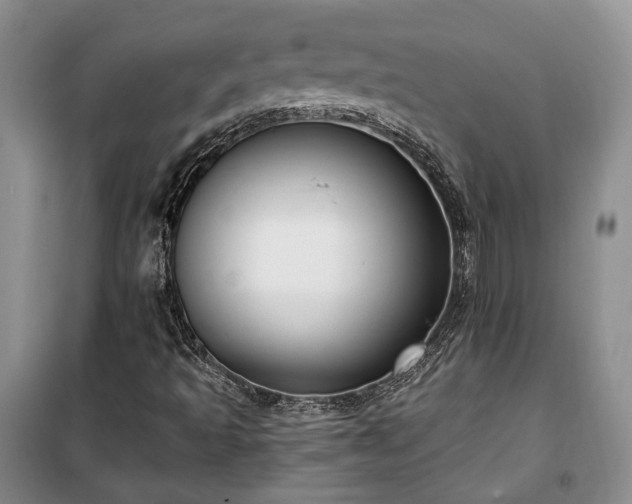 X0000100361493200806131003