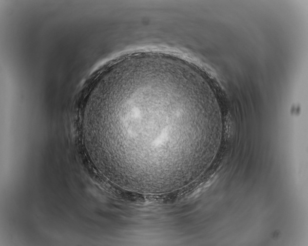 X0000100361494200806131003