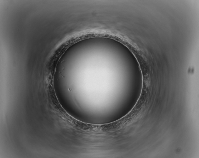 X0000100361495200806131003