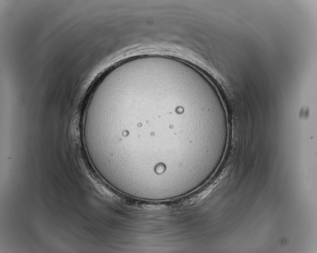 X0000100361498200806131003