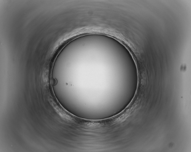 X0000100361499200806131003