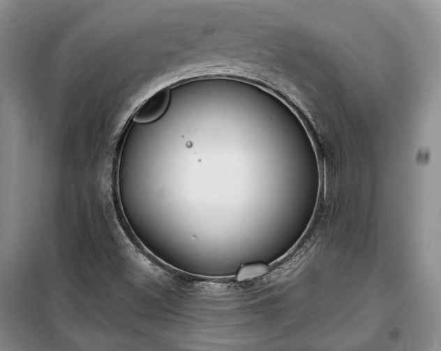 X0000100361500200806131003