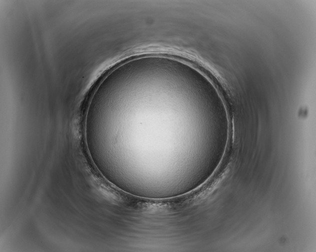 X0000100361501200806131003