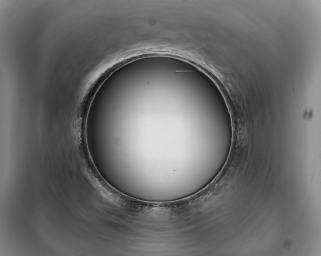 X0000100361503200806131003