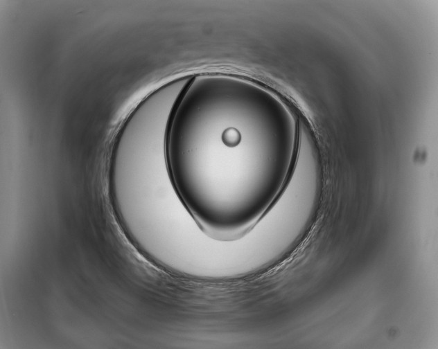 X0000100361504200806131003