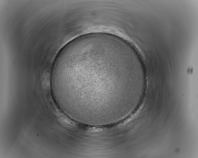 X0000100361505200806131003