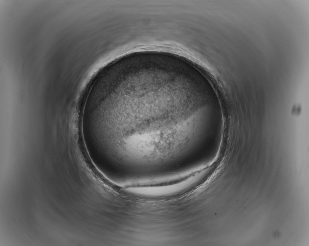 X0000100361506200806131003