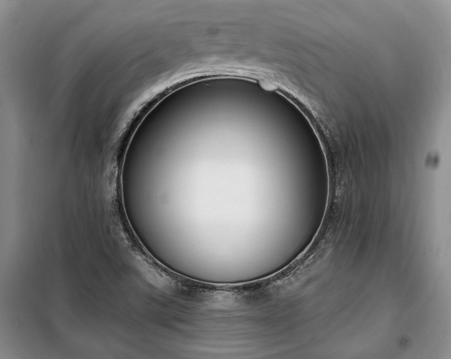 X0000100361507200806131003