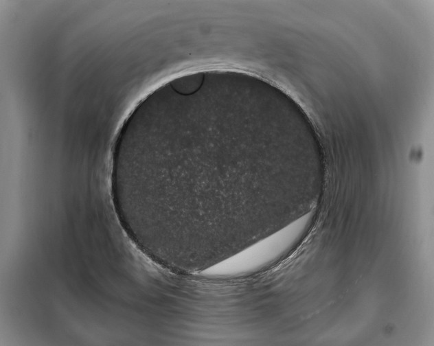 X0000100361508200806131003