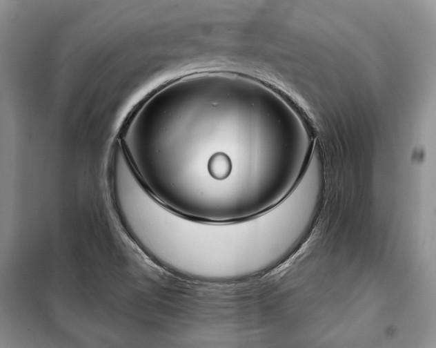 X0000100361510200806131003