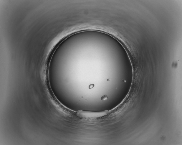 X0000100361511200806131003