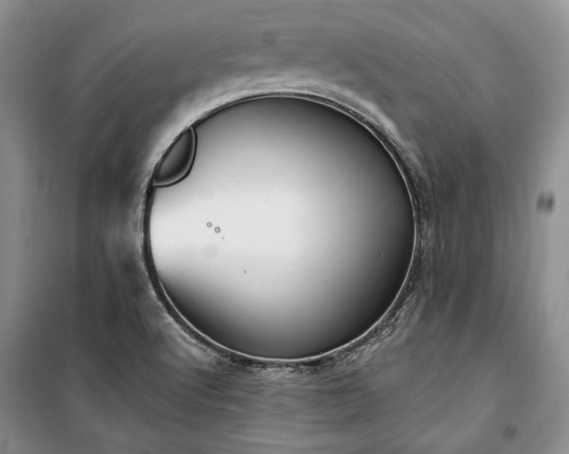 X0000100361512200806131003