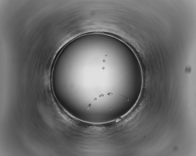 X0000100361513200806131003