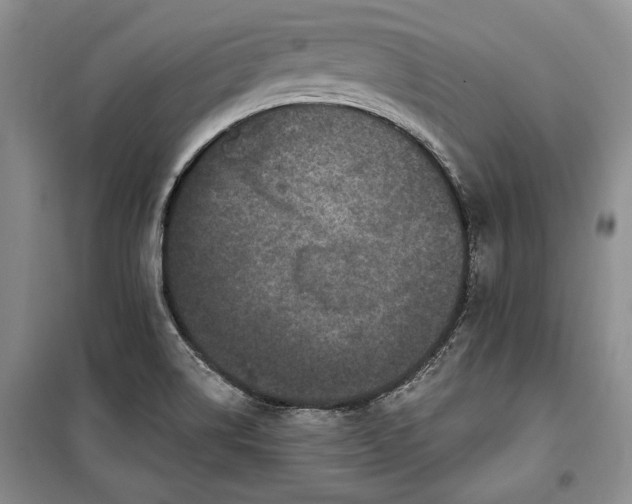 X0000100361514200806131003