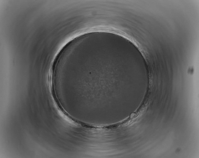 X0000100361515200806131003