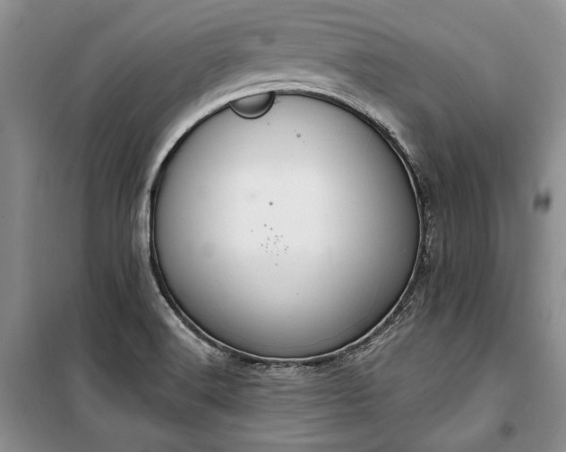 X0000100361516200806131003