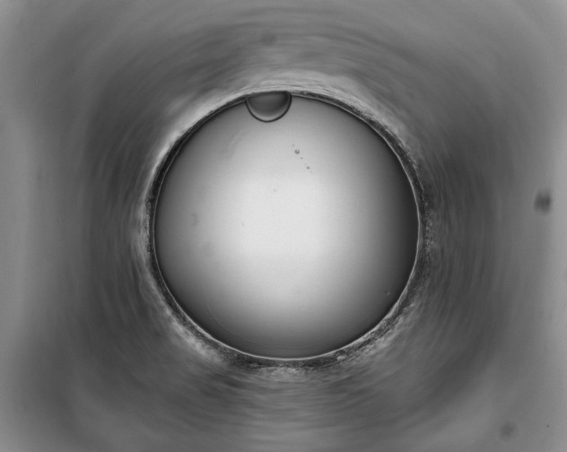 X0000100361517200806131003